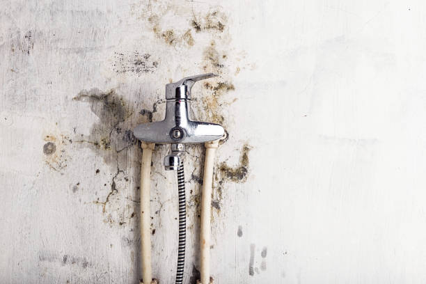 Best Water Damage Restoration  in Fifth Street, TX