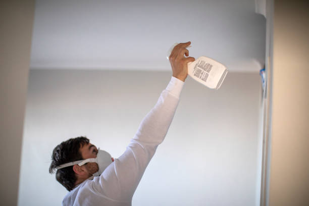 Best Affordable Mold Removal  in Fifth Street, TX